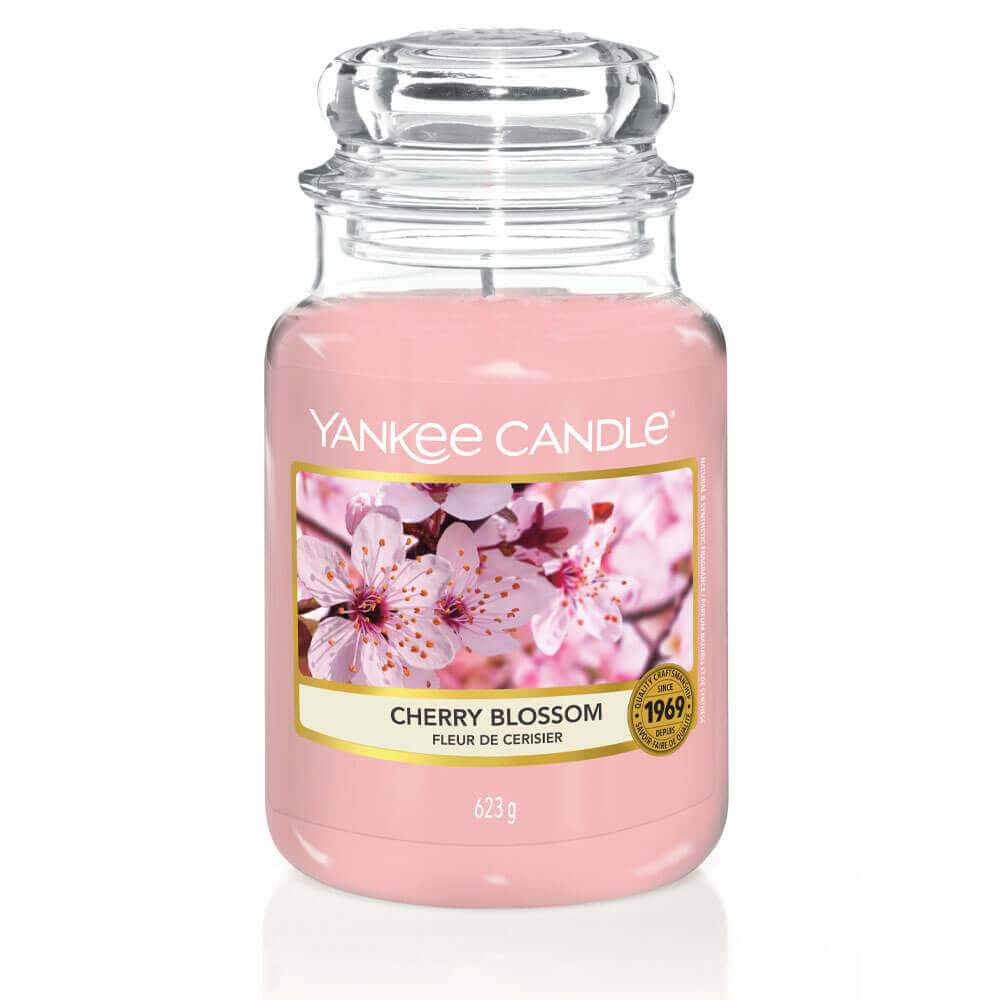 Cherry Blossom