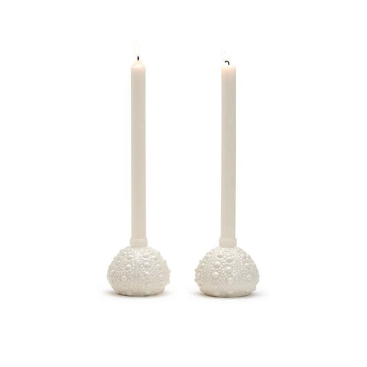 Sea Urchin Taper Holder - Set of 2