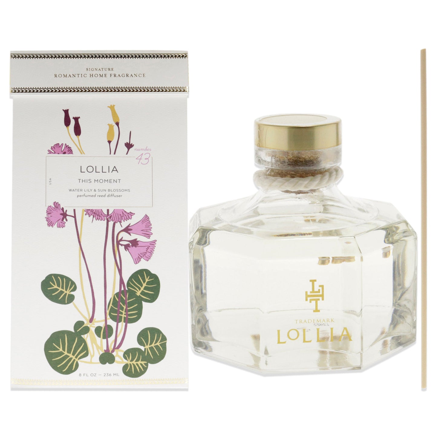 This Moment Perfumed Reed Diffuser by Lollia for Unisex - 8 oz Diffuser