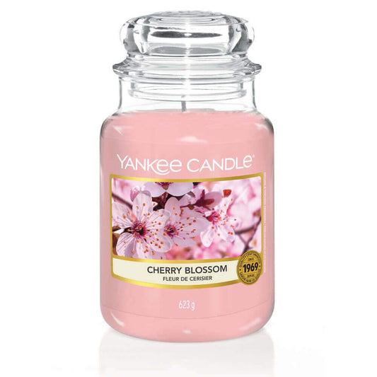 Cherry Blossom