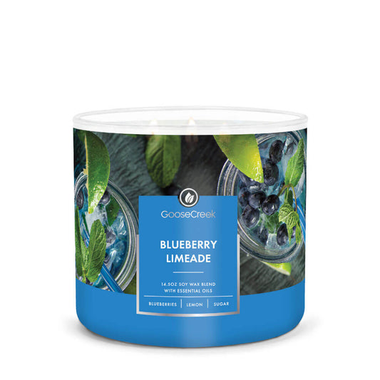 Blueberry Limeade