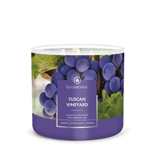 Tuscan Vineyard